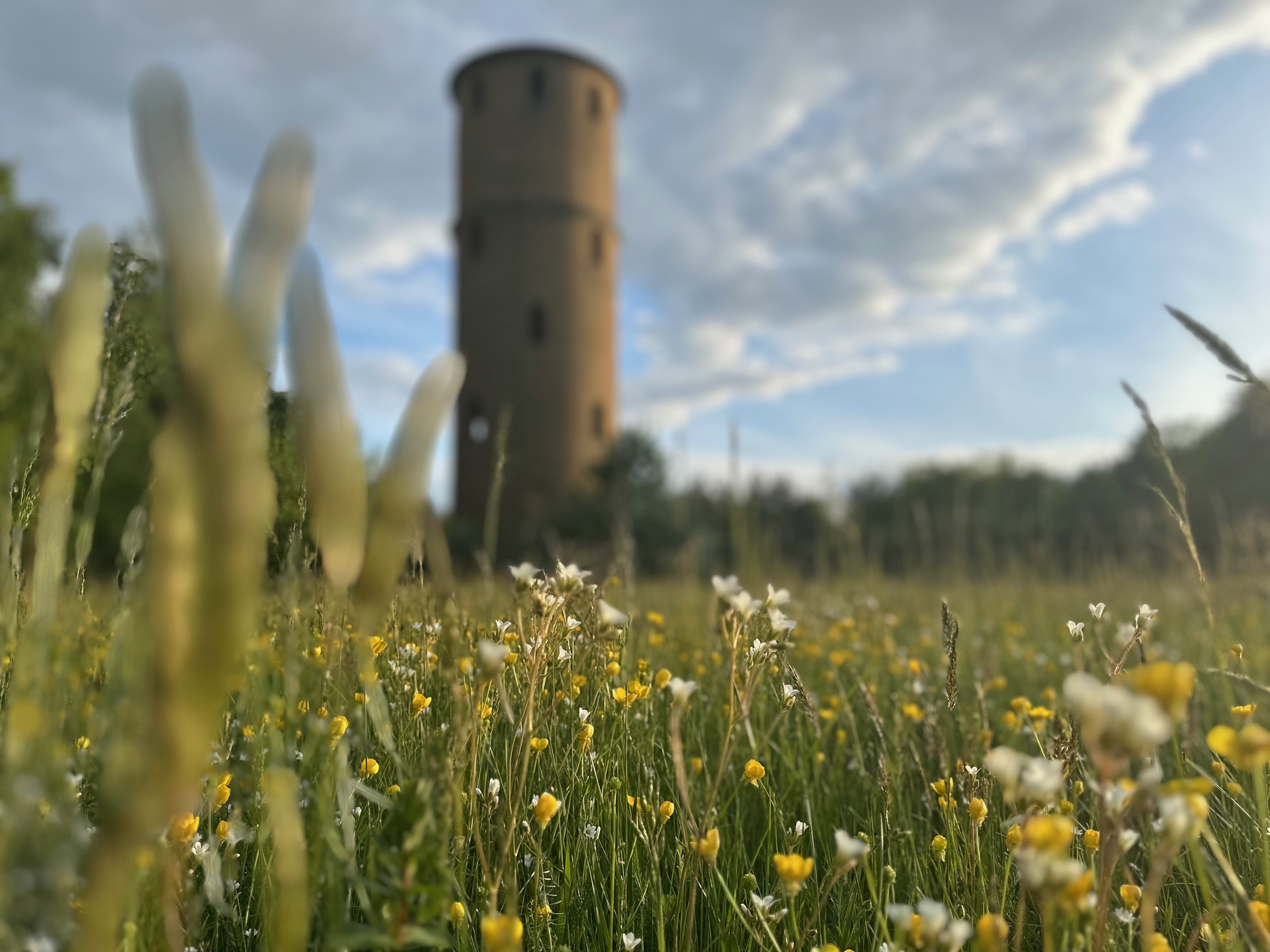 Wasserturmsiedlung Wassertuem