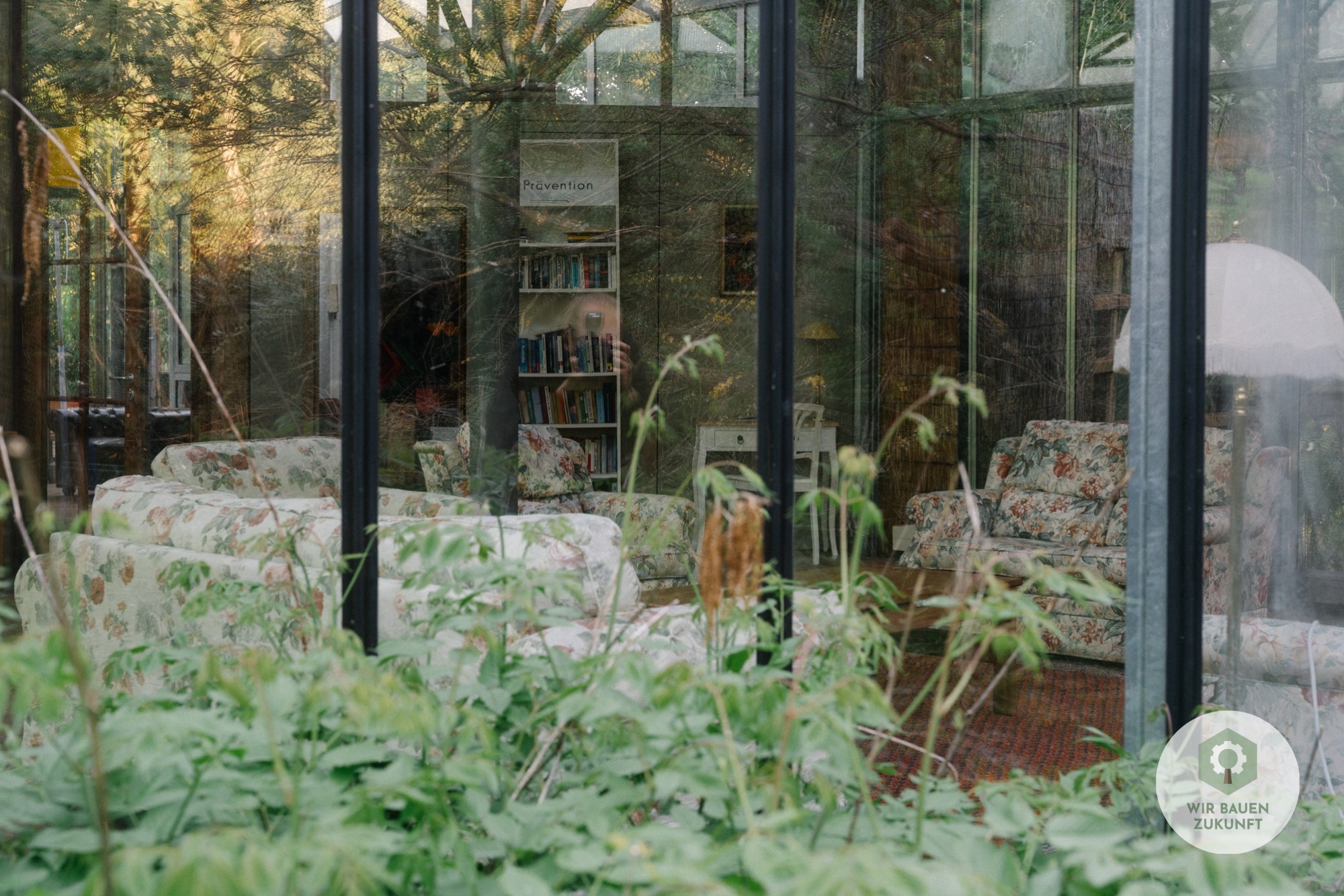 WBZ 18 Blumenhaus Fenster Taterka