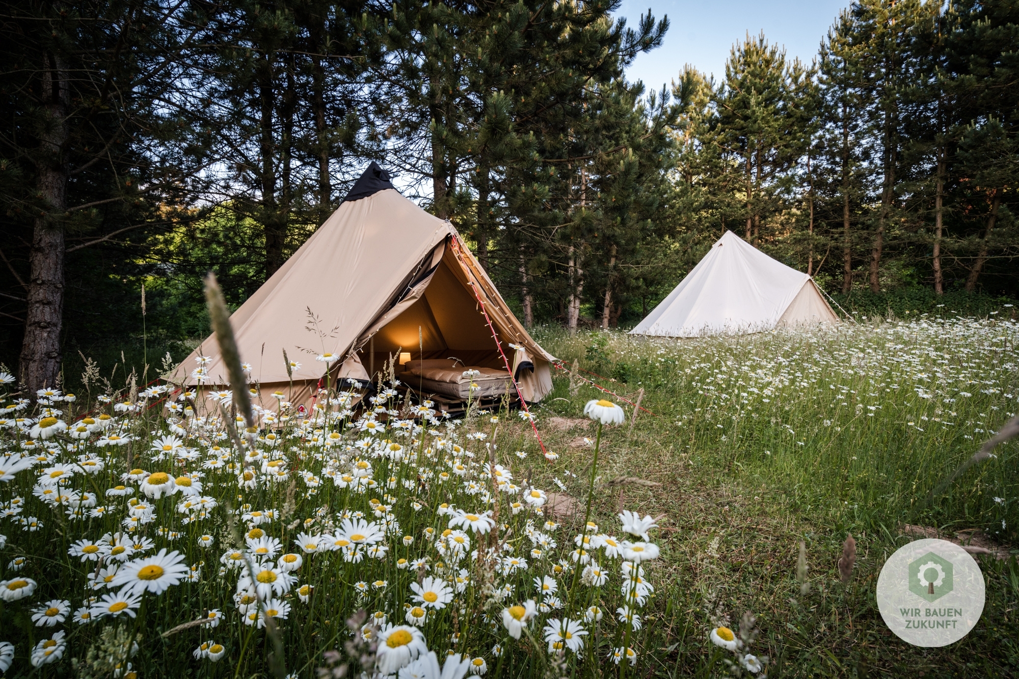 WBZ 27 Glamping Taterka