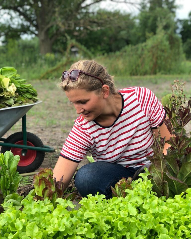 Betreiberin Sophia erntet Salat in ihrer Landwirtschaft. - Photo: © Albertinenhof Havelland