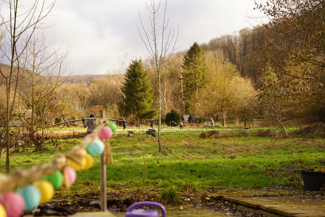 Herbstlicher Blick auf den Gemüseacker der Solidarischen Landwirtschaft. - Photo: © R. Bretzlaff