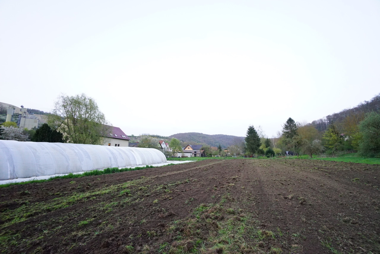 Der Acker der Solidarischen Landwirtschaft hinterm Haus im Frühjahr. - Photo: © R. Bretzlaff